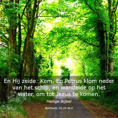 Picture 03 - Mattheüs 14:29 NLD - En Hij zeide: Kom. En Petrus klom neder van het - Bible Verse Picture