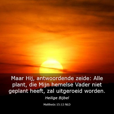 Picture 03 - Mattheüs 15:13 NLD - Maar Hij, antwoordende zeide: Alle plant, die - Bible Verse Picture