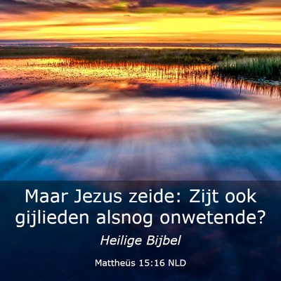 Picture 03 - Mattheüs 15:16 NLD - Maar Jezus zeide: Zijt ook gijlieden alsnog - Bible Verse Picture