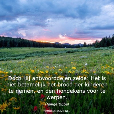 Picture 03 - Mattheüs 15:26 NLD - Doch Hij antwoordde en zeide: Het is niet - Bible Verse Picture