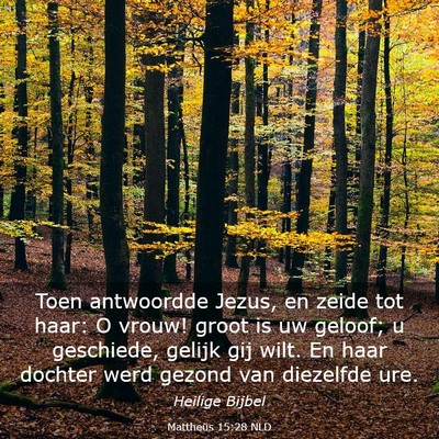 Picture 03 - Mattheüs 15:28 NLD - Toen antwoordde Jezus, en zeide tot haar: O - Bible Verse Picture