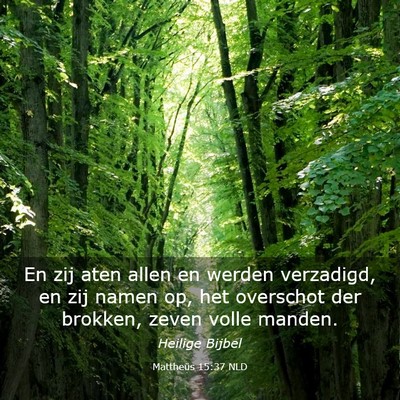 Picture 03 - Mattheüs 15:37 NLD - En zij aten allen en werden verzadigd, en zij - Bible Verse Picture