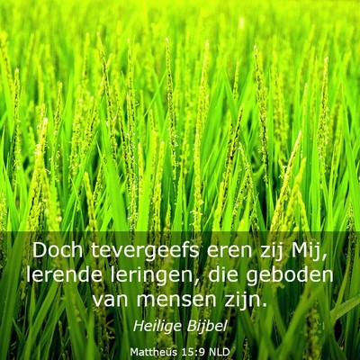 Picture 03 - Mattheüs 15:9 NLD - Doch tevergeefs eren zij Mij, lerende leringen, - Bible Verse Picture