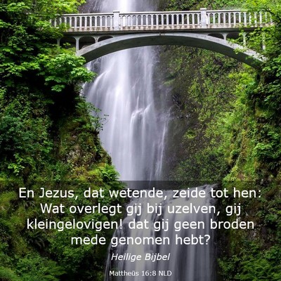 Picture 03 - Mattheüs 16:8 NLD - En Jezus, dat wetende, zeide tot hen: Wat - Bible Verse Picture
