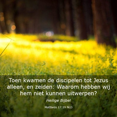 Picture 03 - Mattheüs 17:19 NLD - Toen kwamen de discipelen tot Jezus alleen, en - Bible Verse Picture