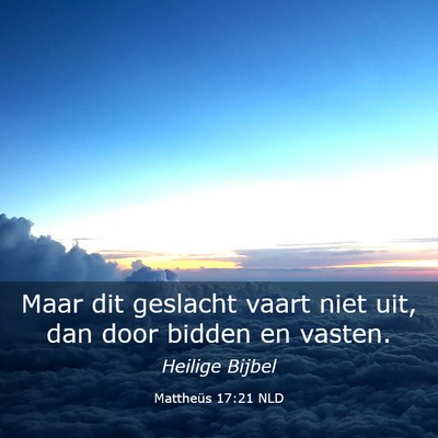 Picture 03 - Mattheüs 17:21 NLD - Maar dit geslacht vaart niet uit, dan door bidden - Bible Verse Picture