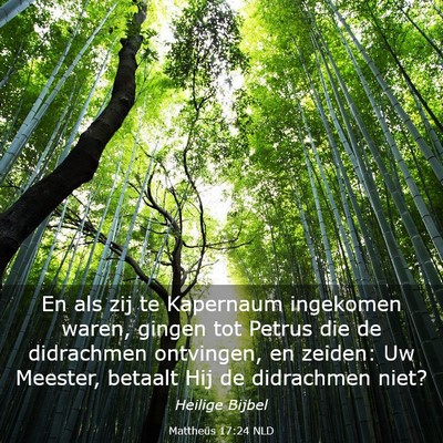 Picture 03 - Mattheüs 17:24 NLD - En als zij te Kapernaum ingekomen waren, gingen - Bible Verse Picture