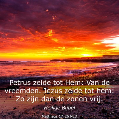 Picture 03 - Mattheüs 17:26 NLD - Petrus zeide tot Hem: Van de vreemden. Jezus - Bible Verse Picture