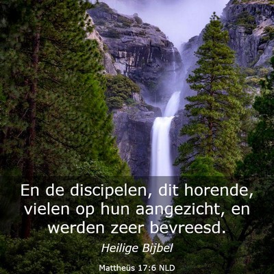 Picture 03 - Mattheüs 17:6 NLD - En de discipelen, dit horende, vielen op hun - Bible Verse Picture