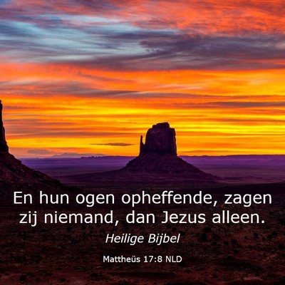 Picture 03 - Mattheüs 17:8 NLD - En hun ogen opheffende, zagen zij niemand, dan - Bible Verse Picture