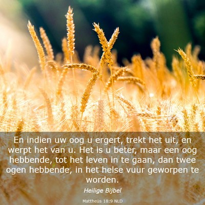 Picture 03 - Mattheüs 18:9 NLD - En indien uw oog u ergert, trekt het uit, en - Bible Verse Picture