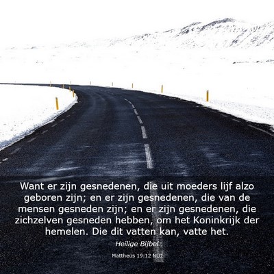 Picture 03 - Mattheüs 19:12 NLD - Want er zijn gesnedenen, die uit moeders lijf - Bible Verse Picture
