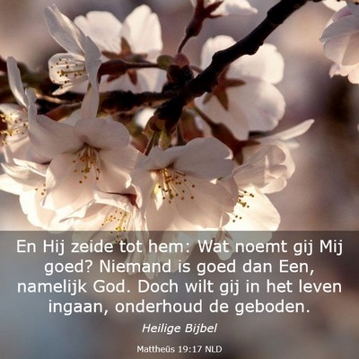 Picture 03 - Mattheüs 19:17 NLD - En Hij zeide tot hem: Wat noemt gij Mij goed? - Bible Verse Picture