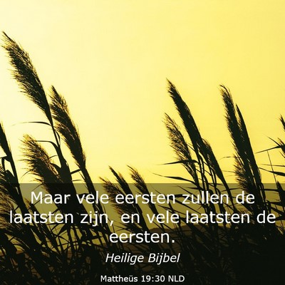 Picture 03 - Mattheüs 19:30 NLD - Maar vele eersten zullen de laatsten zijn, en - Bible Verse Picture
