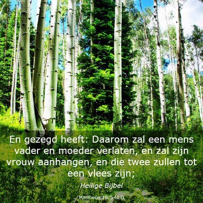 Picture 03 - Mattheüs 19:5 NLD - En gezegd heeft: Daarom zal een mens vader en - Bible Verse Picture