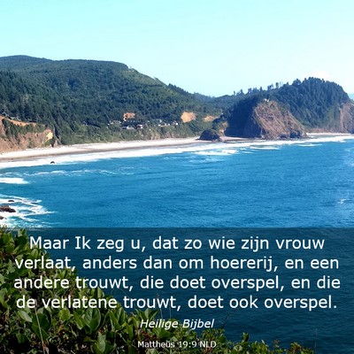 Picture 03 - Mattheüs 19:9 NLD - Maar Ik zeg u, dat zo wie zijn vrouw verlaat, - Bible Verse Picture