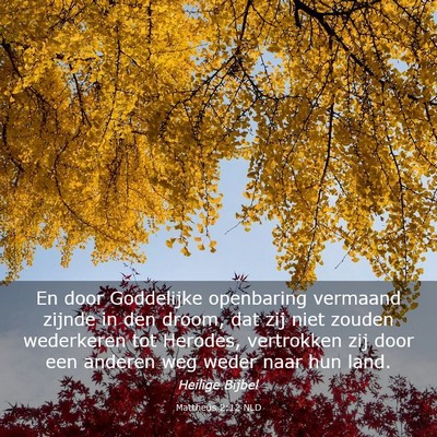 Picture 03 - Mattheüs 2:12 NLD - En door Goddelijke openbaring vermaand zijnde in - Bible Verse Picture