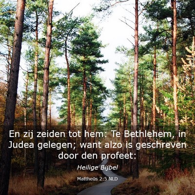 Picture 03 - Mattheüs 2:5 NLD - En zij zeiden tot hem: Te Bethlehem, in Judea - Bible Verse Picture