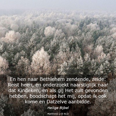 Picture 03 - Mattheüs 2:8 NLD - En hen naar Bethlehem zendende, zeide: Reist - Bible Verse Picture