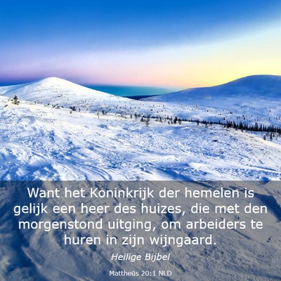 Picture 03 - Mattheüs 20:1 NLD - Want het Koninkrijk der hemelen is gelijk een - Bible Verse Picture