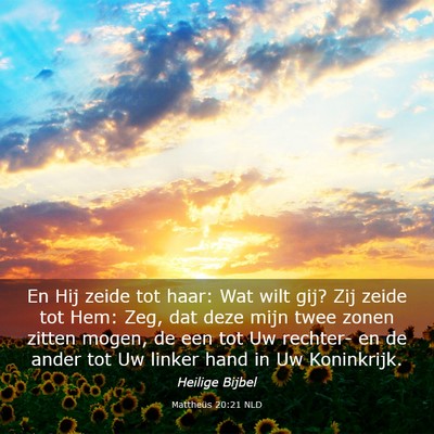 Picture 03 - Mattheüs 20:21 NLD - En Hij zeide tot haar: Wat wilt gij? Zij zeide - Bible Verse Picture