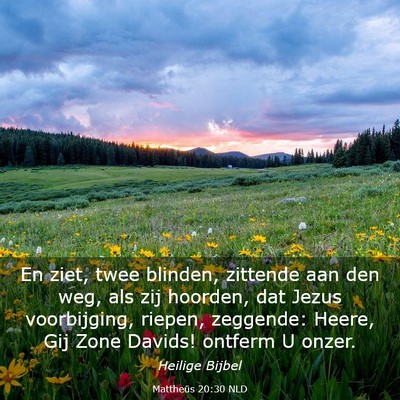 Picture 03 - Mattheüs 20:30 NLD - En ziet, twee blinden, zittende aan den weg, als - Bible Verse Picture