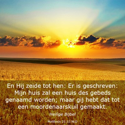 Picture 03 - Mattheüs 21:13 NLD - En Hij zeide tot hen: Er is geschreven: Mijn huis - Bible Verse Picture