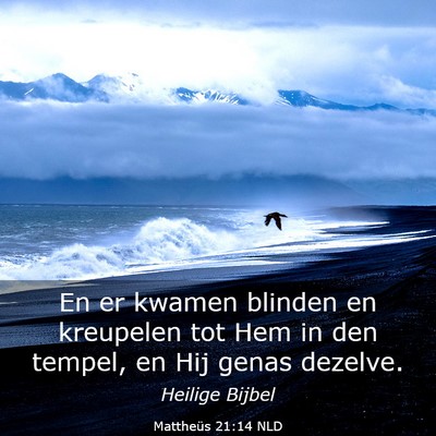 Picture 03 - Mattheüs 21:14 NLD - En er kwamen blinden en kreupelen tot Hem in den - Bible Verse Picture