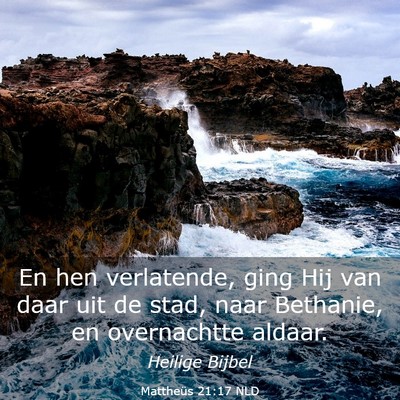 Picture 03 - Mattheüs 21:17 NLD - En hen verlatende, ging Hij van daar uit de stad, - Bible Verse Picture
