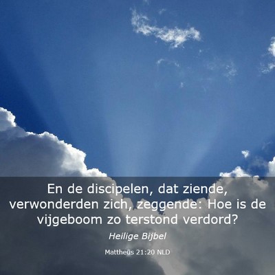 Picture 03 - Mattheüs 21:20 NLD - En de discipelen, dat ziende, verwonderden zich, - Bible Verse Picture