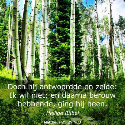 Picture 03 - Mattheüs 21:29 NLD - Doch hij antwoordde en zeide: Ik wil niet; en - Bible Verse Picture
