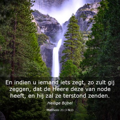 Picture 03 - Mattheüs 21:3 NLD - En indien u iemand iets zegt, zo zult gij zeggen, - Bible Verse Picture