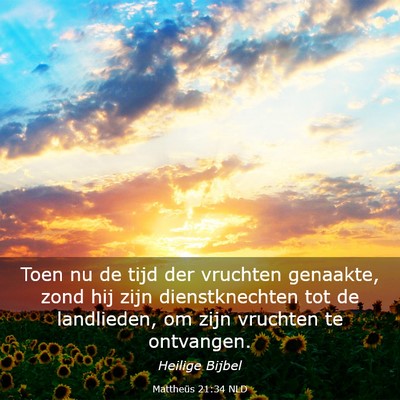 Picture 03 - Mattheüs 21:34 NLD - Toen nu de tijd der vruchten genaakte, zond hij - Bible Verse Picture