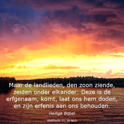 Picture 03 - Mattheüs 21:38 NLD - Maar de landlieden, den zoon ziende, zeiden onder - Bible Verse Picture