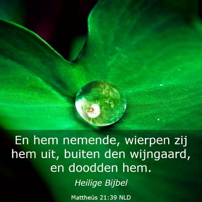 Picture 03 - Mattheüs 21:39 NLD - En hem nemende, wierpen zij hem uit, buiten den - Bible Verse Picture