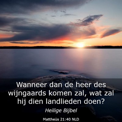 Picture 03 - Mattheüs 21:40 NLD - Wanneer dan de heer des wijngaards komen zal, wat - Bible Verse Picture