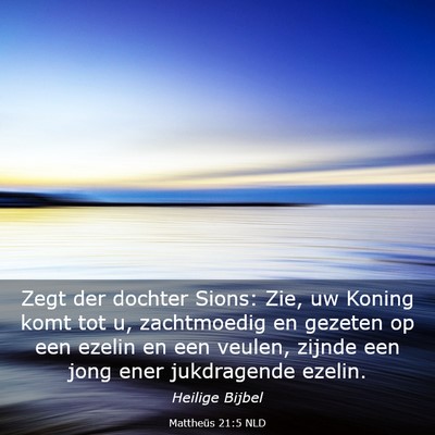 Picture 03 - Mattheüs 21:5 NLD - Zegt der dochter Sions: Zie, uw Koning komt tot - Bible Verse Picture