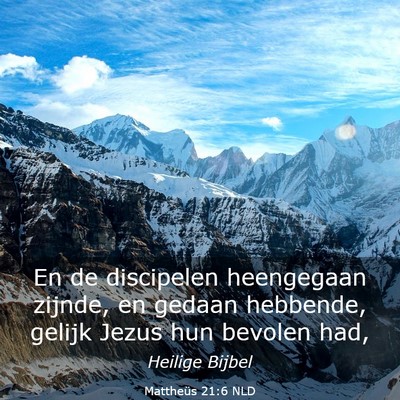 Picture 03 - Mattheüs 21:6 NLD - En de discipelen heengegaan zijnde, en gedaan - Bible Verse Picture