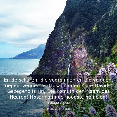 Picture 03 - Mattheüs 21:9 NLD - En de scharen, die voorgingen en die volgden, - Bible Verse Picture