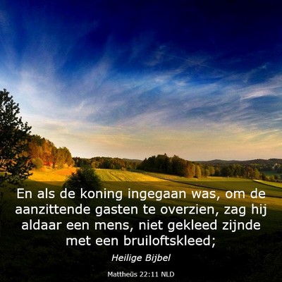 Picture 03 - Mattheüs 22:11 NLD - En als de koning ingegaan was, om de aanzittende - Bible Verse Picture