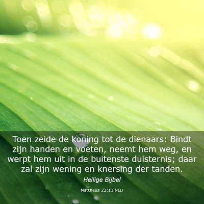 Picture 03 - Mattheüs 22:13 NLD - Toen zeide de koning tot de dienaars: Bindt zijn - Bible Verse Picture