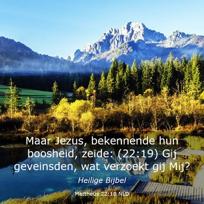 Picture 03 - Mattheüs 22:18 NLD - Maar Jezus, bekennende hun boosheid, zeide: - Bible Verse Picture