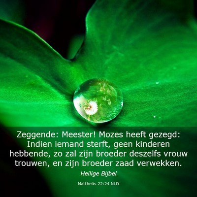 Picture 03 - Mattheüs 22:24 NLD - Zeggende: Meester! Mozes heeft gezegd: Indien - Bible Verse Picture