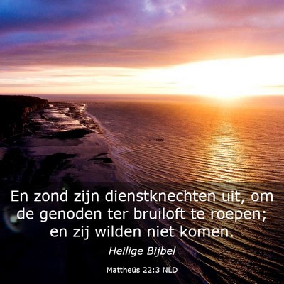 Picture 03 - Mattheüs 22:3 NLD - En zond zijn dienstknechten uit, om de genoden - Bible Verse Picture