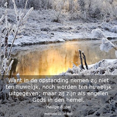 Picture 03 - Mattheüs 22:30 NLD - Want in de opstanding nemen zij niet ten - Bible Verse Picture