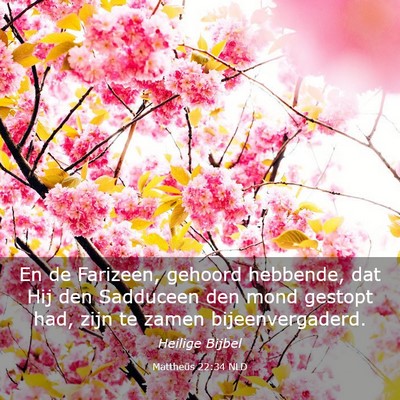 Picture 03 - Mattheüs 22:34 NLD - En de Farizeen, gehoord hebbende, dat Hij den - Bible Verse Picture