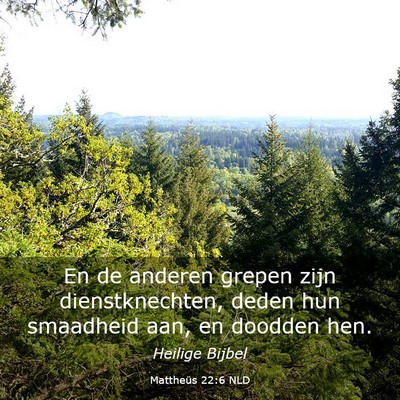 Picture 03 - Mattheüs 22:6 NLD - En de anderen grepen zijn dienstknechten, deden - Bible Verse Picture