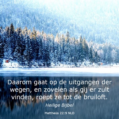 Picture 03 - Mattheüs 22:9 NLD - Daarom gaat op de uitgangen der wegen, en zovelen - Bible Verse Picture