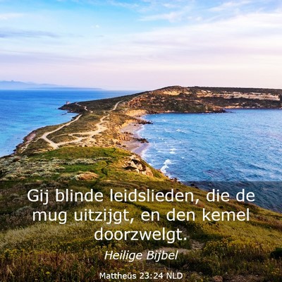 Picture 03 - Mattheüs 23:24 NLD - Gij blinde leidslieden, die de mug uitzijgt, en - Bible Verse Picture