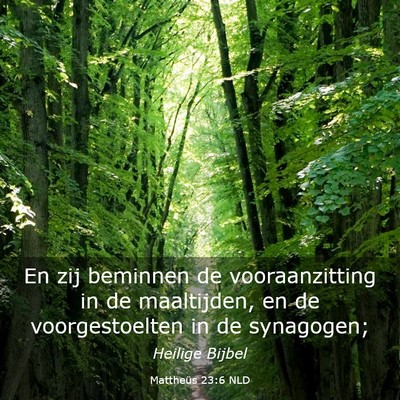 Picture 03 - Mattheüs 23:6 NLD - En zij beminnen de vooraanzitting in de - Bible Verse Picture
